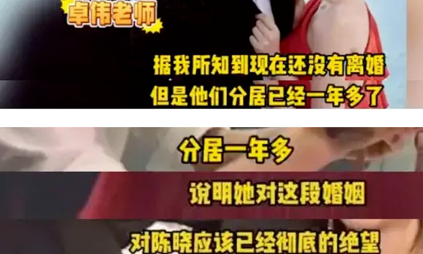 陈晓陈妍希离婚风波升级，孩子生父引猜疑，陈晓不回应早有预兆（组图） - 5