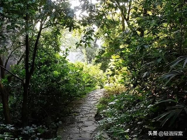 河南女护士遭领导多次强奸，哀求：我不转正了，放过我好不好（组图） - 12