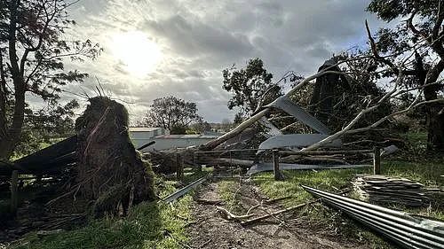 146km/h飓风席卷墨尔本！树倒房塌、火车停运、学校关门！14万户停电，无数华人吓得一夜未眠...（组图） - 2