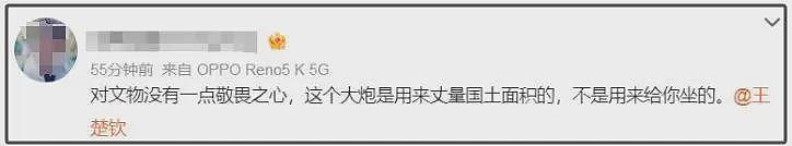 王楚钦坐古炮台拍照惹争议，粉丝狡辩文物没有围挡，被怒批没素质（组图） - 5