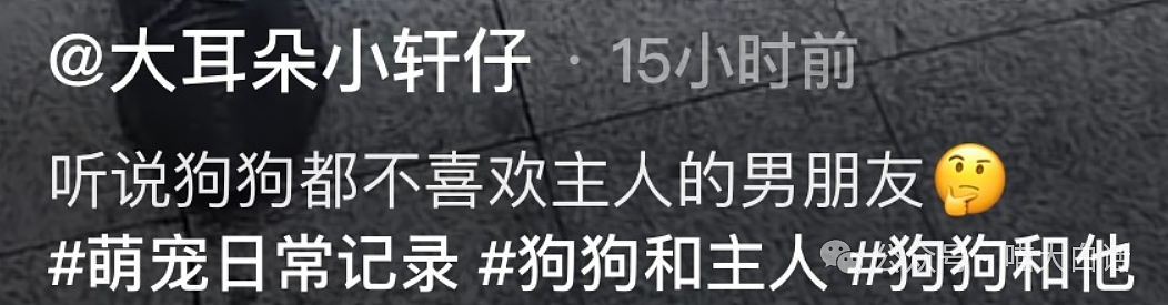 【爆笑】“有一个过分抽象的妈妈是什么体验？”哈哈哈哈哈好超前的精神状态（组图） - 73