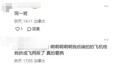 崩溃！中国航司大规模“停飞“国际航班！多条航线遭殃：大批华人滞留超10小时（组图） - 14