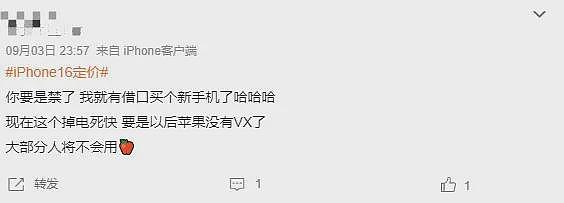 热搜炸锅！苹果辟谣“iPhone 16不支持微信”，腾讯和苹果到底在争什么？（组图） - 7