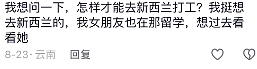 中国网友求助：“有学历，想来新西兰发展”！华人居民集体“劝退”….（组图） - 17