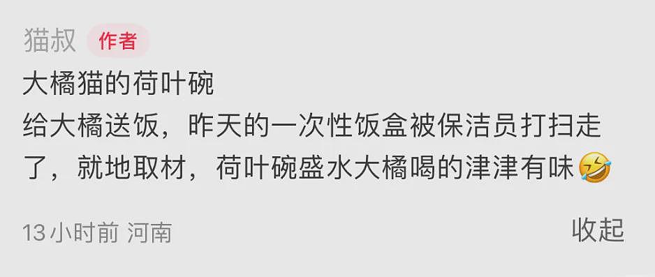 【宠物】民警捡到一只小橘猫，带回派出所签卖身契，网友一看猫表情笑喷：真是自愿的吗（组图） - 30