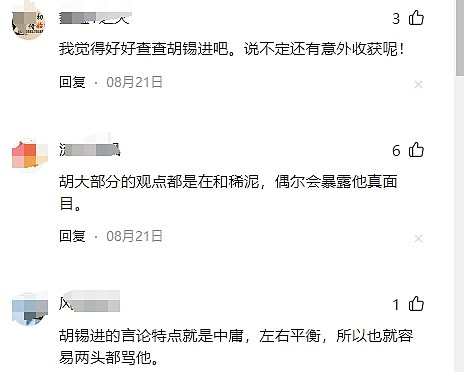 胡锡进承认被禁言三个月！疑因解读三中全会惹祸，纽约时报：他可能误判了形势（视频/组图） - 6