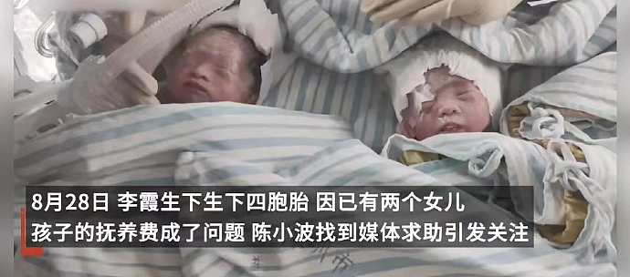 深圳四胞胎事件引发巨大争议，抱歉我没法共情…（组图） - 1