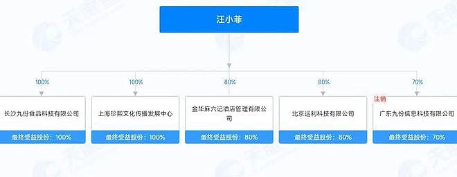 大S索赔4亿元！汪小菲旗下股权遭冻结（组图） - 6