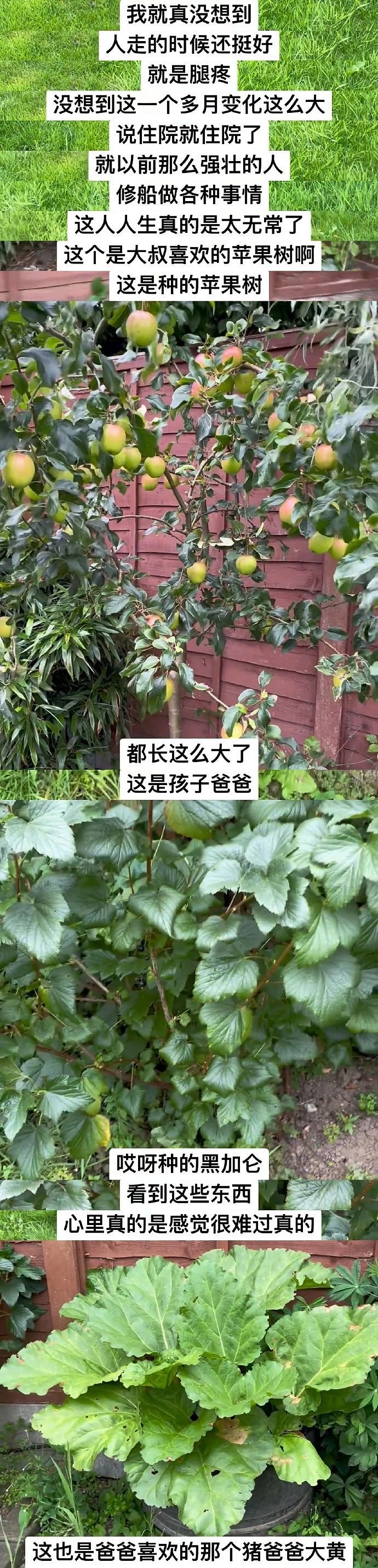 英国百万网红大叔确诊骨癌到去世，不足半个月，网友震惊：吃饭搭子离线了（组图） - 18