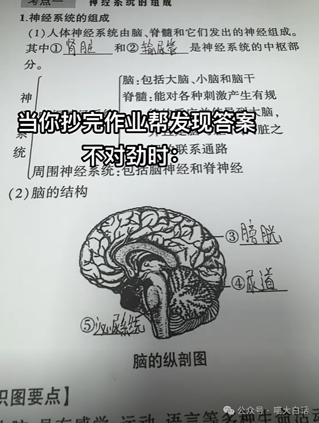 【爆笑】“现在医生写的病历能有多魔性？”哈哈哈哈哈超绝阴阳怪气（组图） - 99