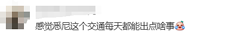 悉尼13岁男孩掉落铁轨！Anzac大桥惨烈车祸，两名华人当场死亡，肇事司机不认罪（组图） - 13