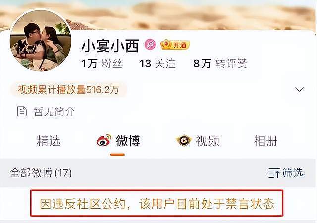 卓伟曝宋祖儿涉税内幕！举报人系母亲男友的亲戚，其母还是小三（组图） - 18