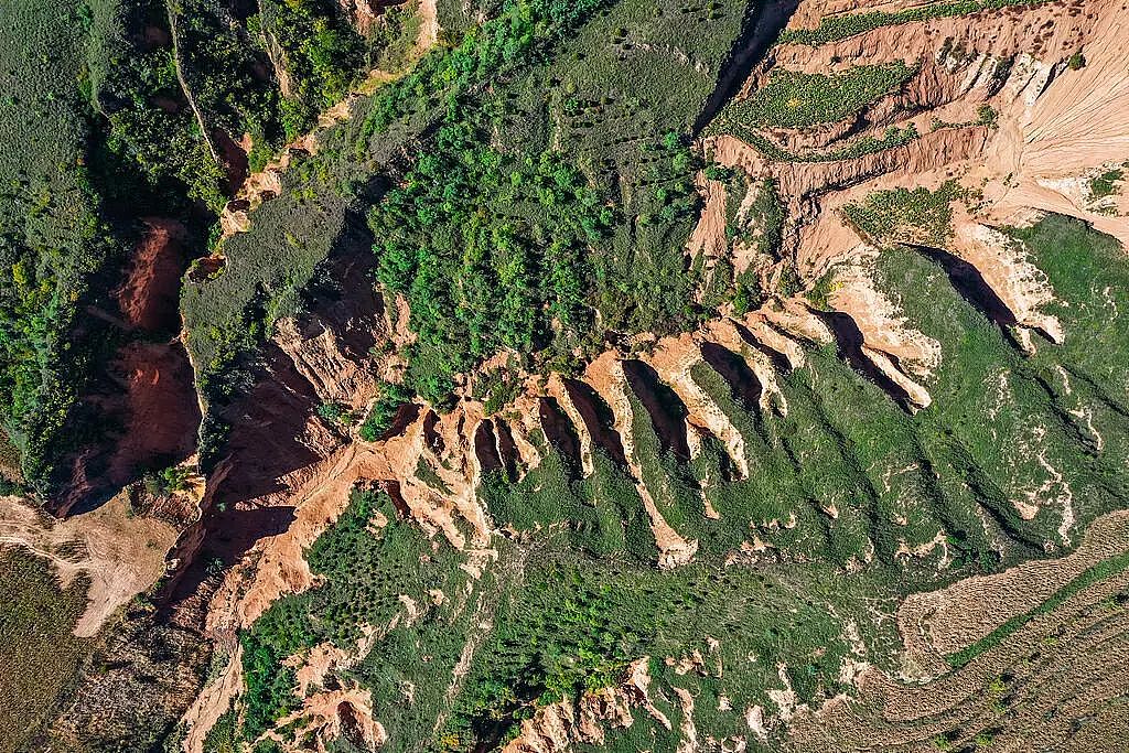 一碗刀削面被网暴，全体山西人坐不住了（组图） - 10