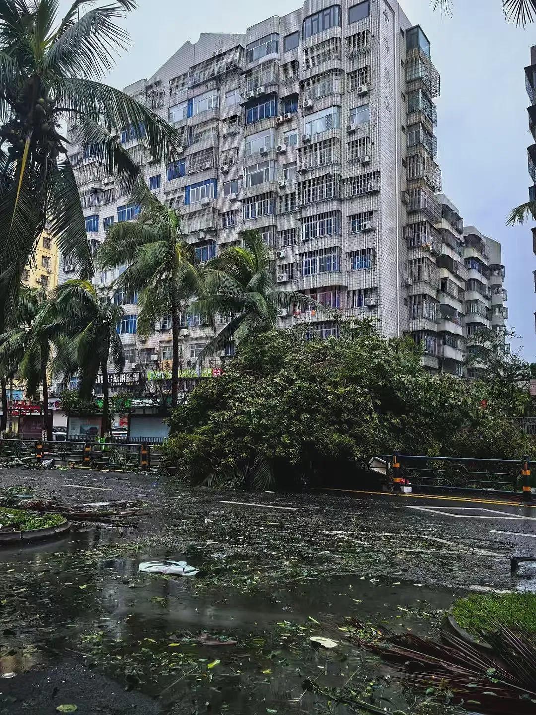 4500人滞留港口，机场航班全部取消！“摩羯”过境，中国沿海住宅区出现海水倒灌，网友：楼在晃…（组图） - 18