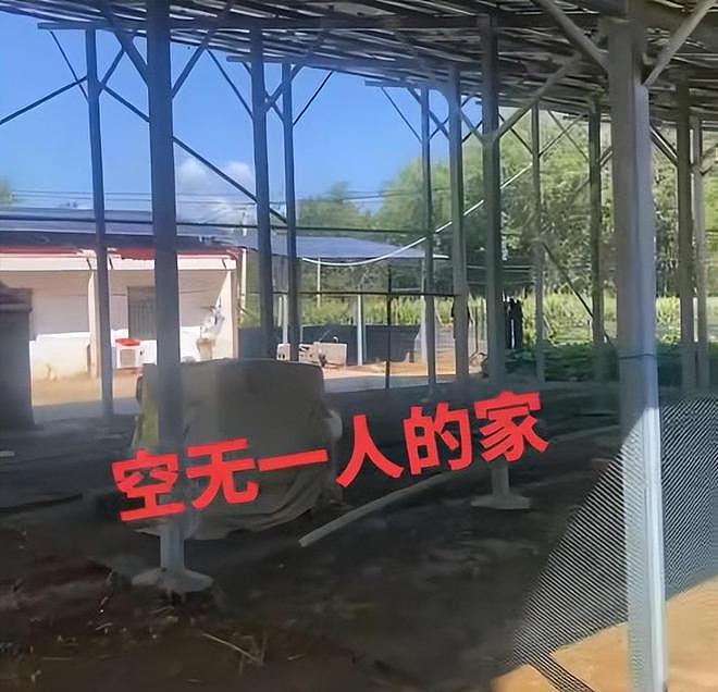 姜萍学校正式上课，数学老师王闰秋未现身，学校也避谈此事（组图） - 10