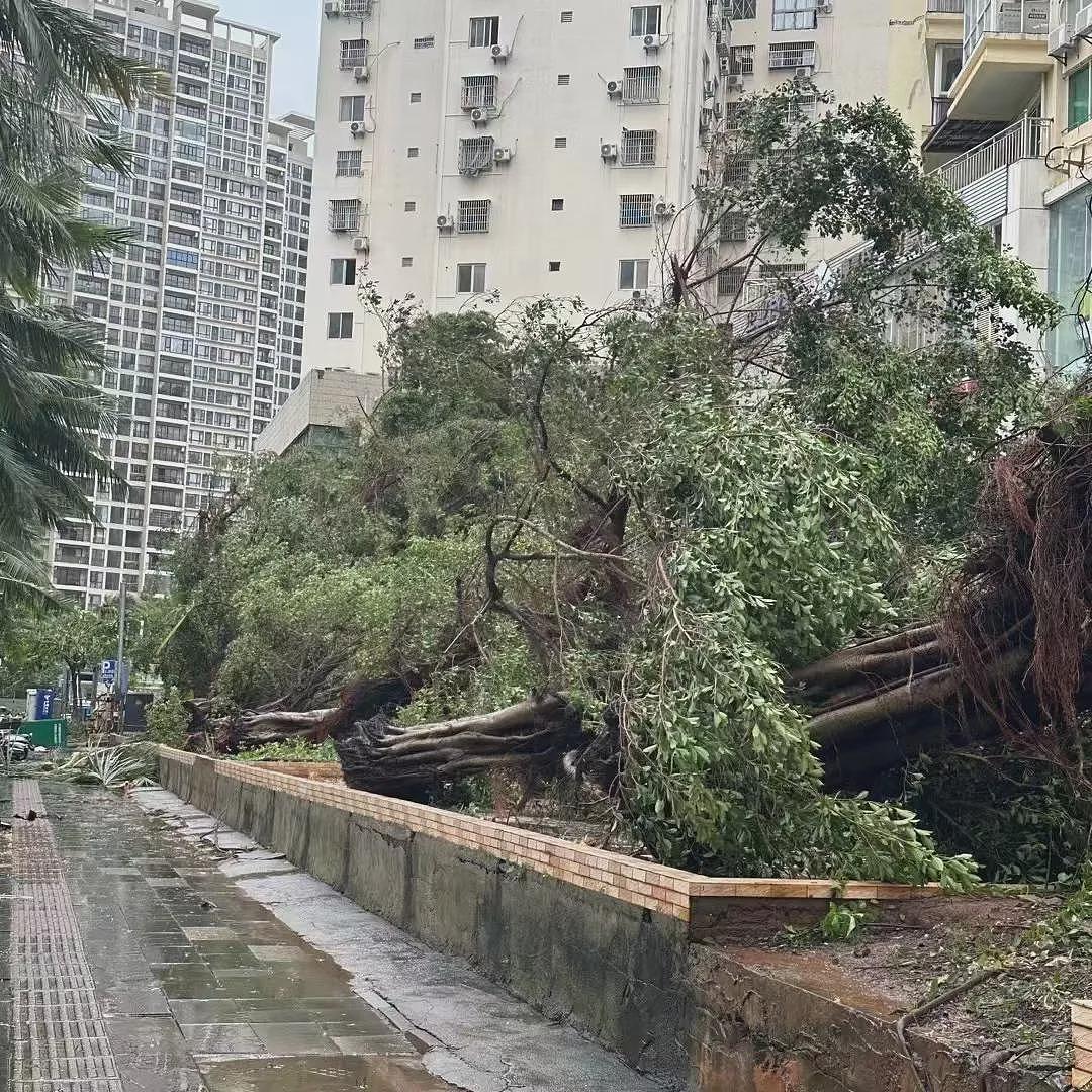 4500人滞留港口，机场航班全部取消！“摩羯”过境，中国沿海住宅区出现海水倒灌，网友：楼在晃…（组图） - 10