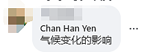 紧急迫降7人受伤！酷航一从新加坡飞广州航班遭遇强气流，或与台风“摩羯”有关！（组图） - 5