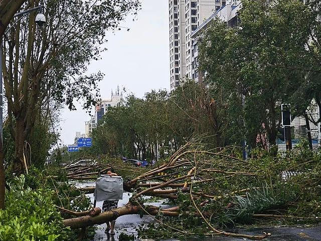 “摩羯”过境后，海南人的朋友圈！亲历者称玻璃爆掉后蜷缩在角落（组图） - 4