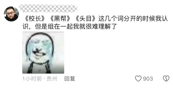 四川一外国语学校校长居然是黑社会老大？身份被扒过程比小说还精彩...（组图） - 10