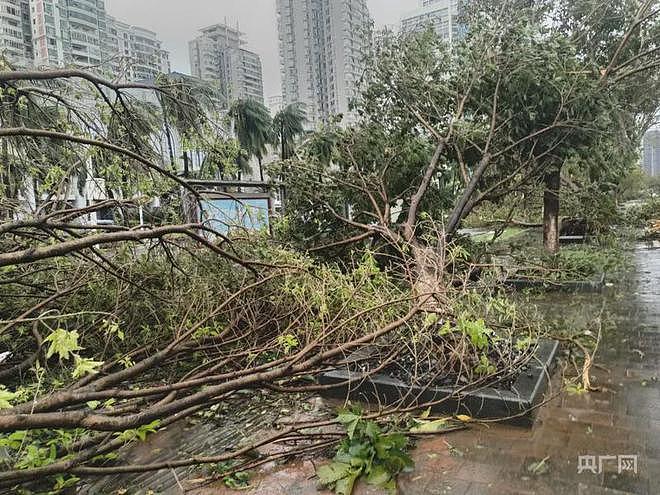 超级台风“摩羯”横扫海南，已致4死95伤！整层楼被吹跑，小区玻璃集体“失踪”，18吨货车被掀翻（组图） - 5