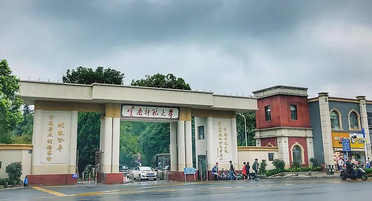 云南师大新生入学课火出圈：男生不买女生不卖，不找价值观扭曲的物质女（组图） - 1