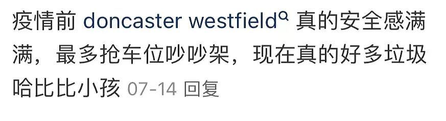 “我有点绝望！”中国女生在澳商场追贼遇袭，被一拳打断鼻骨，网友怒批“一群害虫”，还有teens“砍刀帮”华人区商场内暴走（组图） - 14