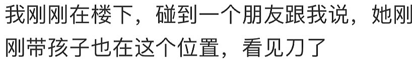 “我有点绝望！”中国女生在澳商场追贼遇袭，被一拳打断鼻骨，网友怒批“一群害虫”，还有teens“砍刀帮”华人区商场内暴走（组图） - 13