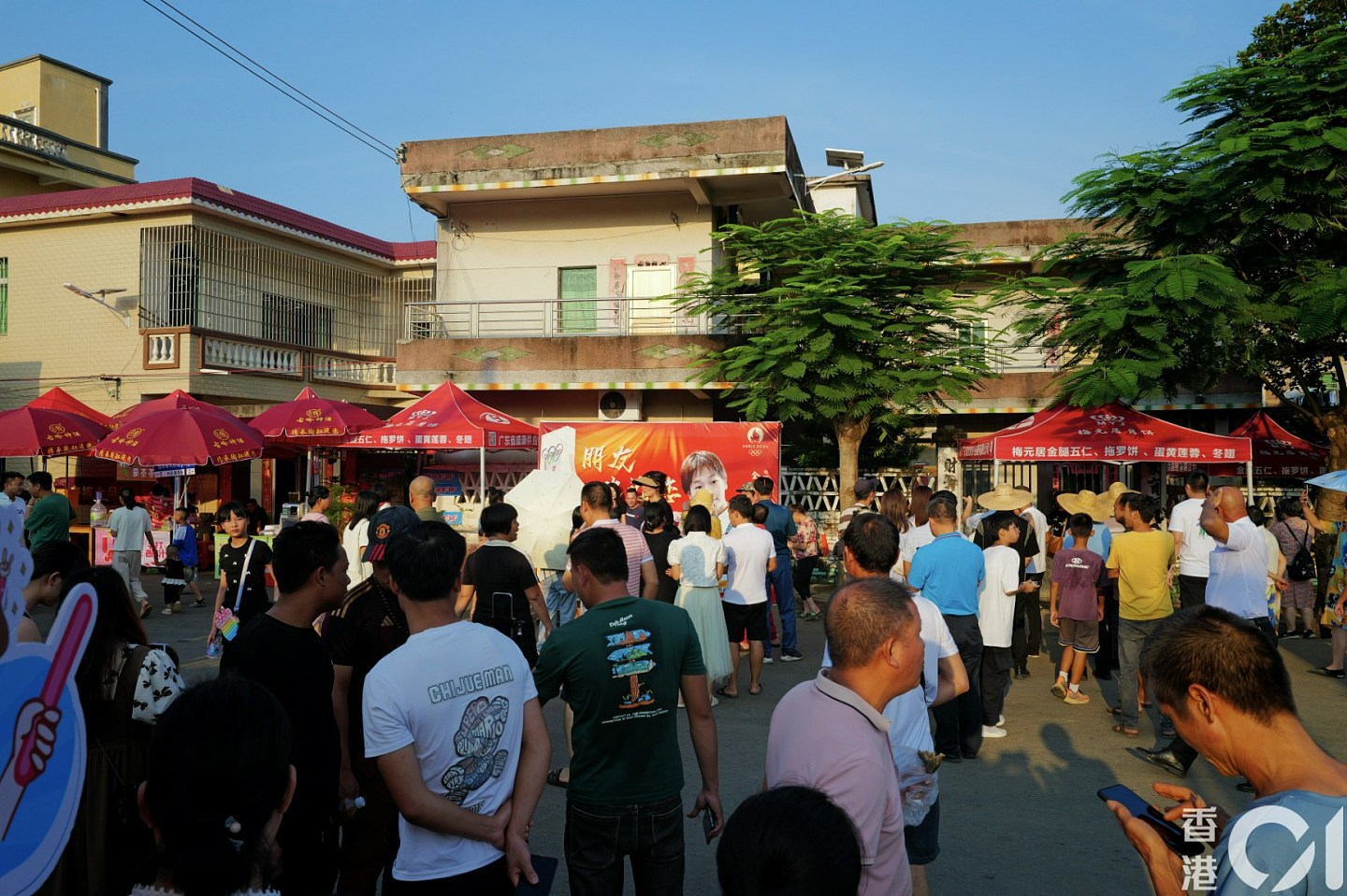 台风摩羯，全红婵家果园一片狼籍，全爸提前修剪水花消失树（组图） - 11