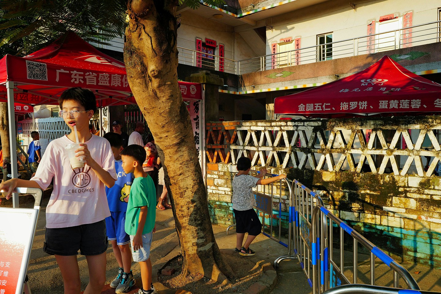 台风摩羯，全红婵家果园一片狼籍，全爸提前修剪水花消失树（组图） - 9