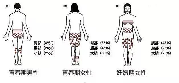 【涨知识】女朋友屁股上的神秘纹路，到底是什么（组图） - 7