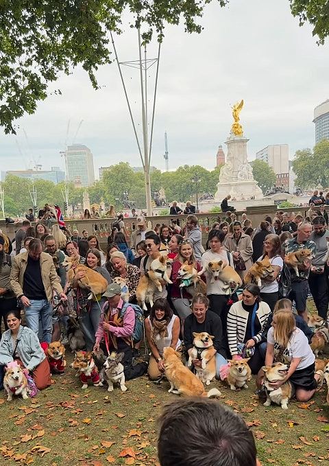 英女王逝世2周年：英国政界多人悼念！伦敦狗主办哥基大聚会（组图） - 2