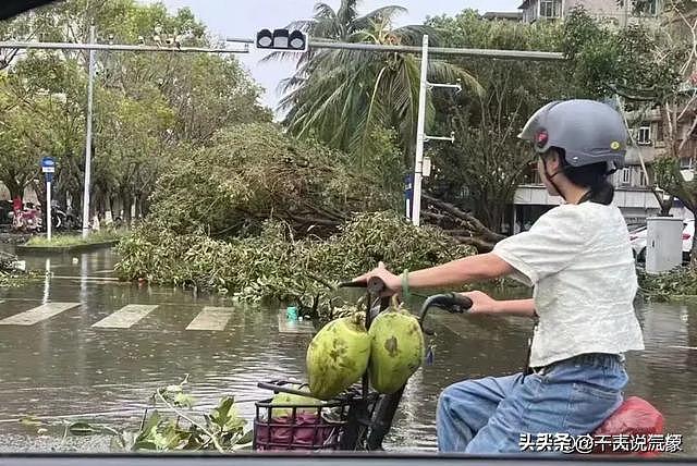 爆笑！台风后的海南人：家烂了还能修，椰子去晚了可就没有了（组图） - 8