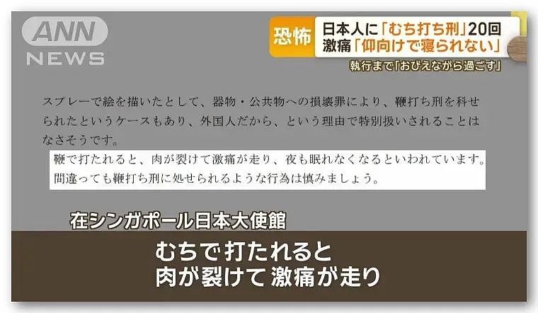 日本强奸犯放弃上诉！真相恶劣，害怕被判更重，将在新加坡受鞭刑（组图） - 5