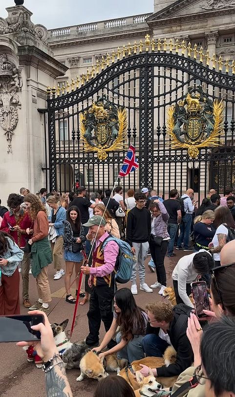 英女王逝世2周年：英国政界多人悼念！伦敦狗主办哥基大聚会（组图） - 6