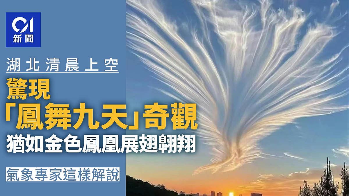 湖北上空现“凤舞九天”奇观，犹如金色凤凰展翅翺翔（组图） - 1