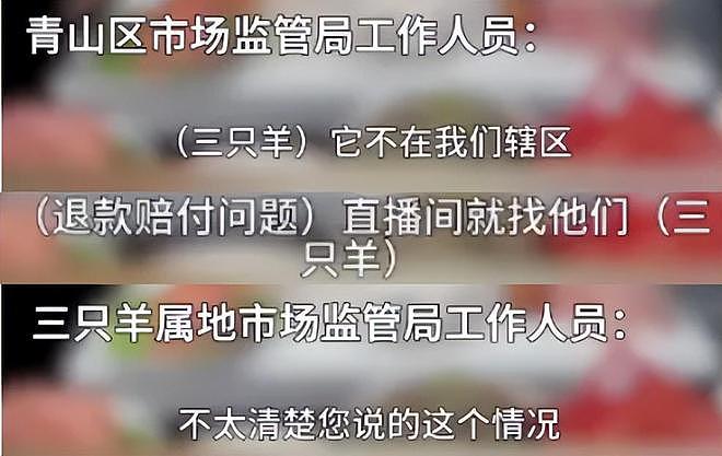 小杨哥掉粉百万！沫沫亲友透露近况，三只羊一天四五个电话沟通（组图） - 12