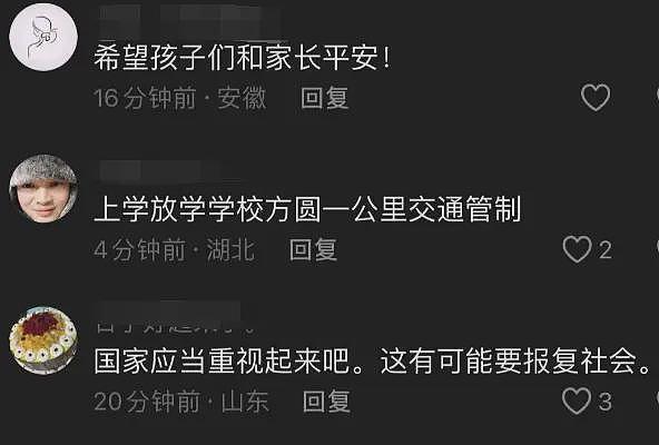 武汉一小学附近发生车祸，多名学生受伤，警方通报，司机身份曝光（组图） - 8