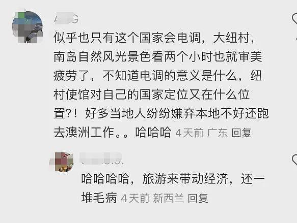 登机前，突然收到新西兰移民局电话！有人签证被当场取消，官方回应：有签证≠能入境（组图） - 9