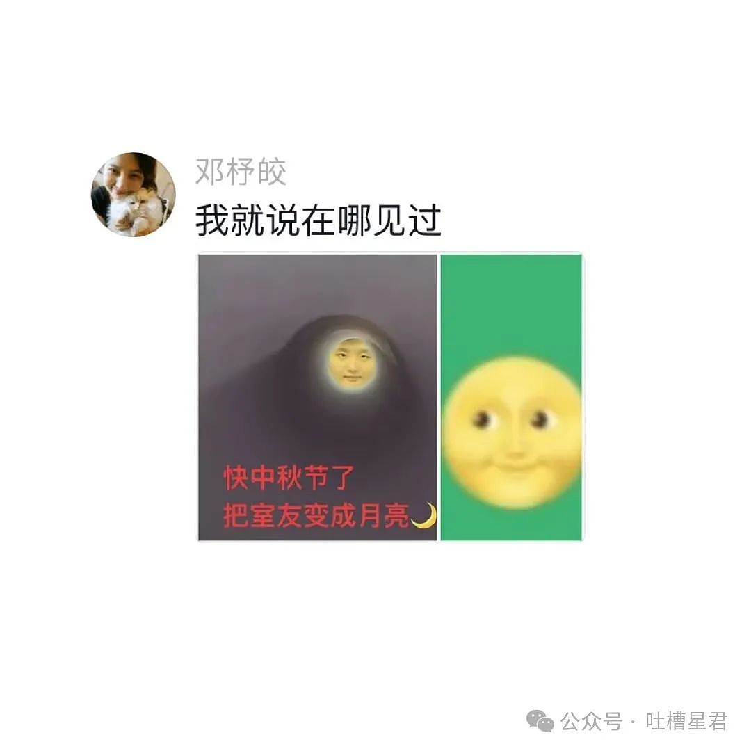 【爆笑】“张雨绮脱口秀爆料就差点名了？！”网友夺笋：姐剪过八爪鱼，战绩可查（组图） - 26