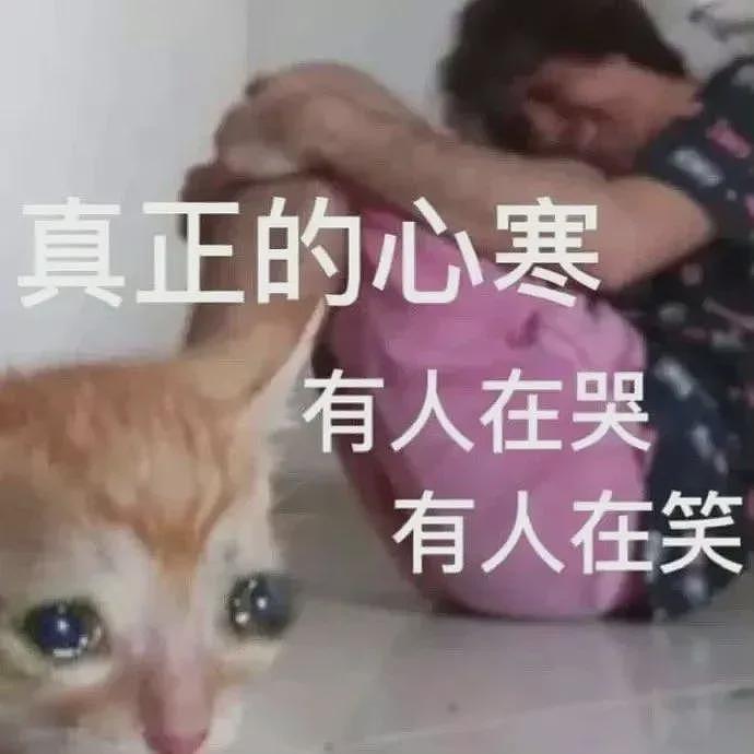 【宠物】流浪猫半夜进家揍猫，揍得它喷屎喷了一面墙，主人擦了整个房间全是味儿！网友：我都心疼抹布了（组图） - 25