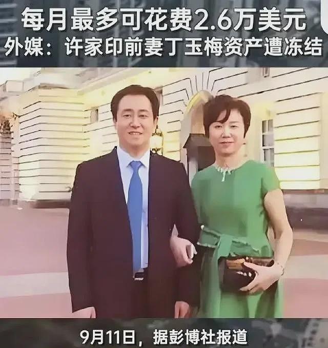 许家印前妻百亿资产被冻结，英国法院允许她每月花18万？网友破防（组图） - 6