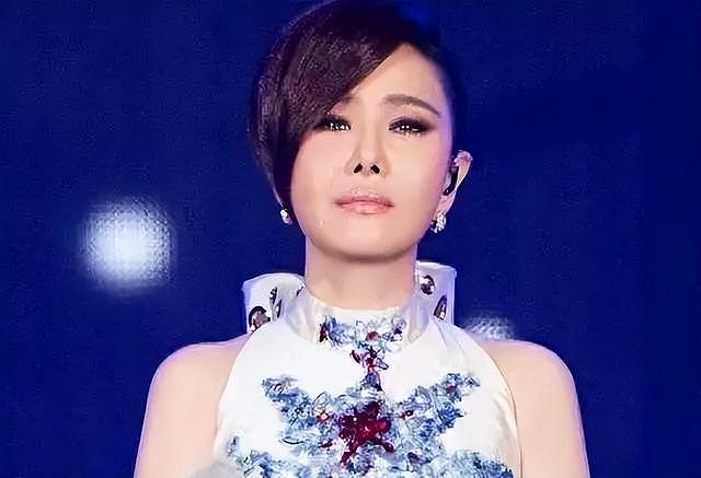 著名女歌手宣布复出，周杰伦、王力宏发声支持，歌迷泪目迎归来（组图） - 5