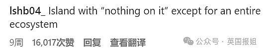 美国小哥买不起房，仅花3万在芬兰买了座岛！自建小木屋隐居，网友馋哭：人天堂（组图） - 26