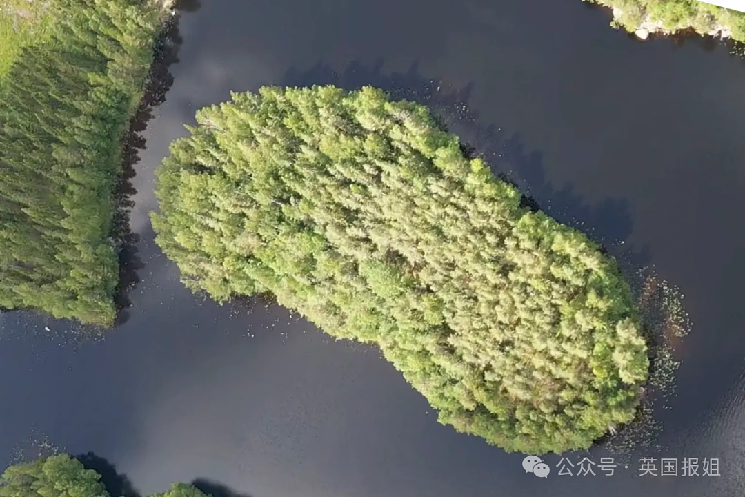 美国小哥买不起房，仅花3万在芬兰买了座岛！自建小木屋隐居，网友馋哭：人天堂（组图） - 6