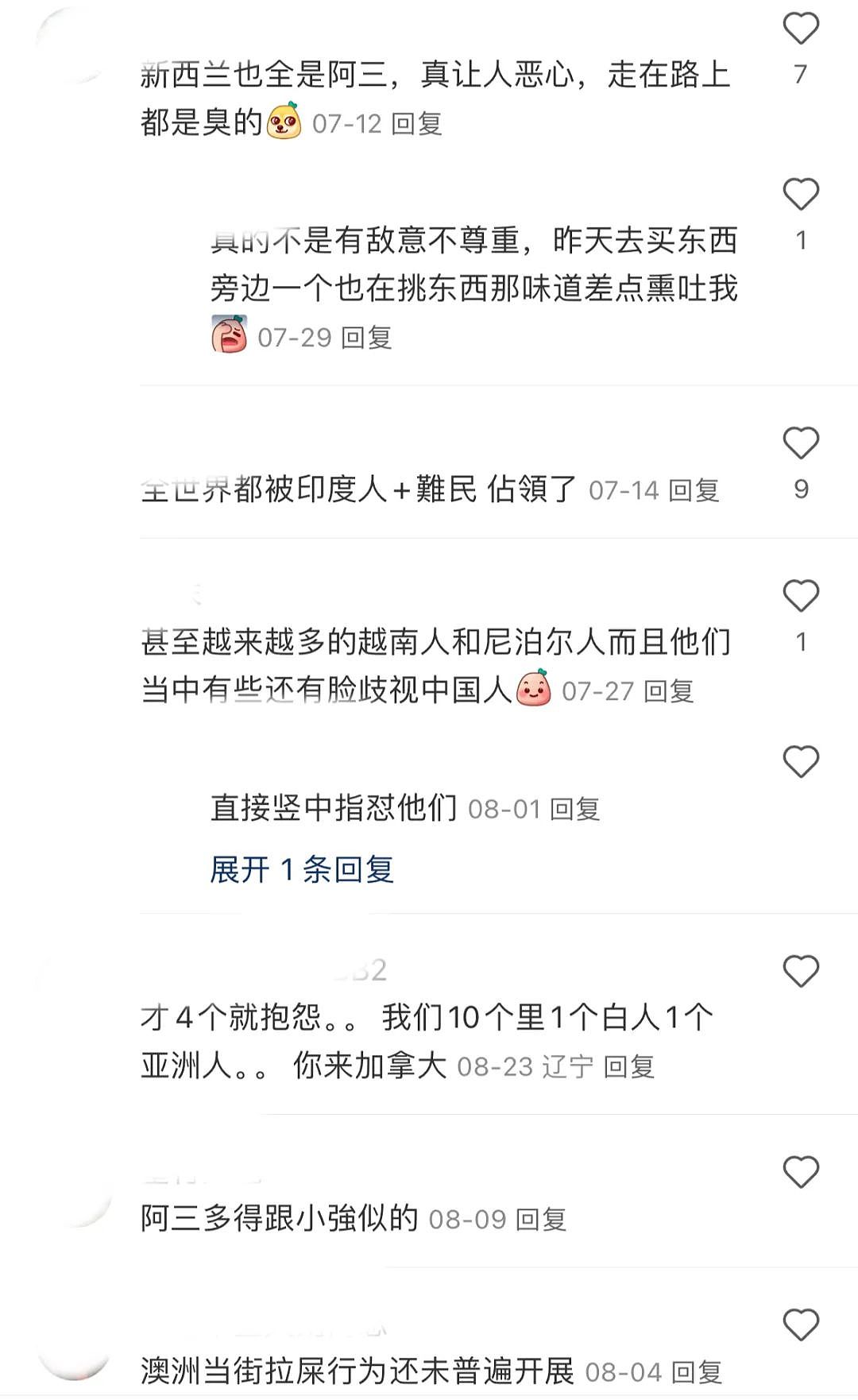 占领澳洲？澳洲爆发大游行！大批人硬要政府给PR！他们拿绿卡的手段首次曝光！华人热议...（组图） - 4