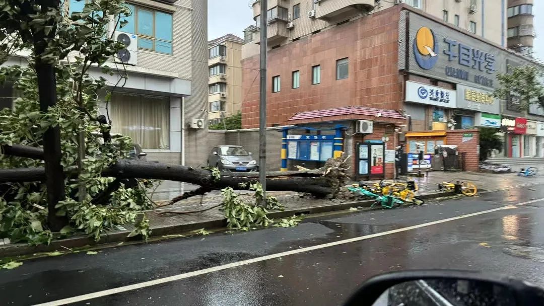 贝碧嘉横穿上海，才知道自己家里漏洞百出、危机四伏（组图） - 35