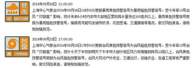 最新！“贝碧嘉”中心已离开上海，但风雨继续！外滩亲水平台水位暴涨，全市110接警8000余起（视频/组图） - 3