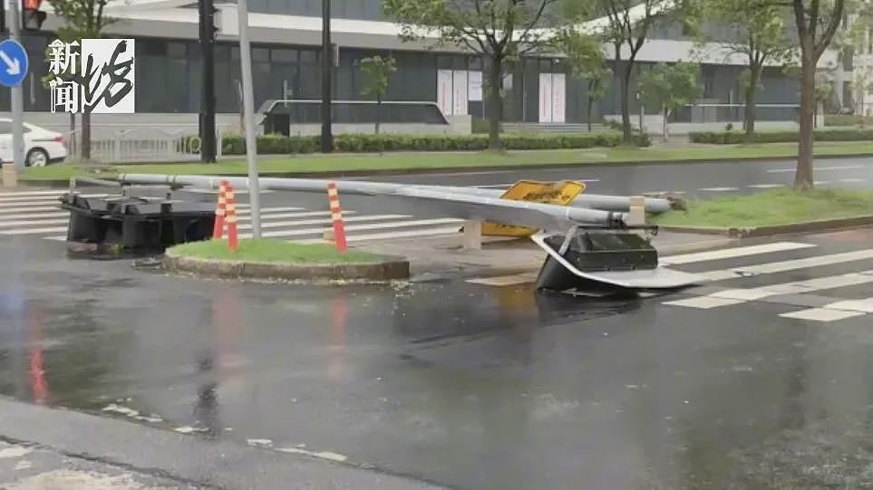 台风已登陆！树木连根拔起！感觉风雨还行？NO，上海主城区恰好在“贝碧嘉”的危险半圆内（组图） - 3