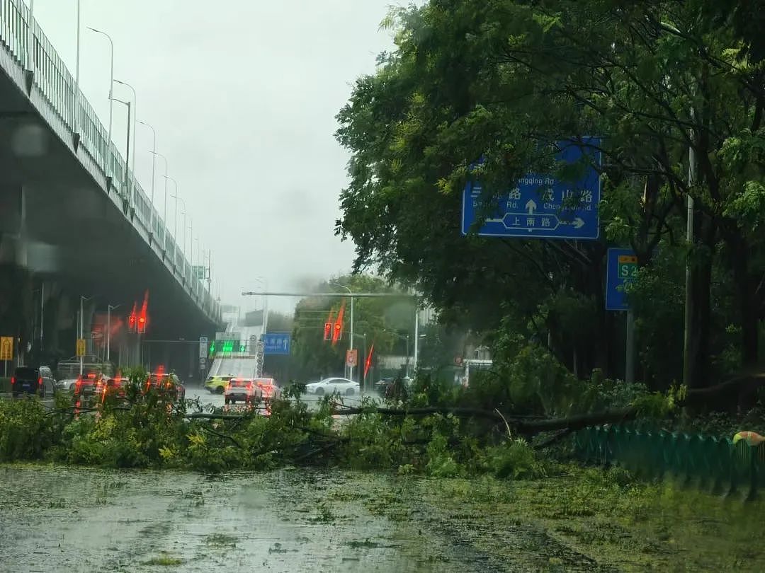 贝碧嘉横穿上海，才知道自己家里漏洞百出、危机四伏（组图） - 33