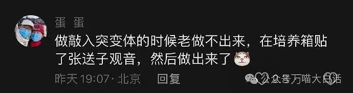 【爆笑】“被公司发的月饼内涵了？”哈哈哈哈哈阅读理解大师啊（组图） - 79